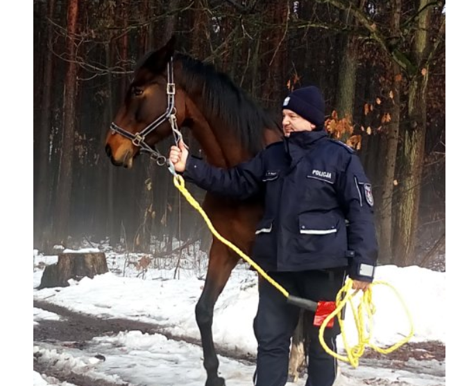 Orzescy dzielnicowi pomogli zwierzęciu wrócić do domu
