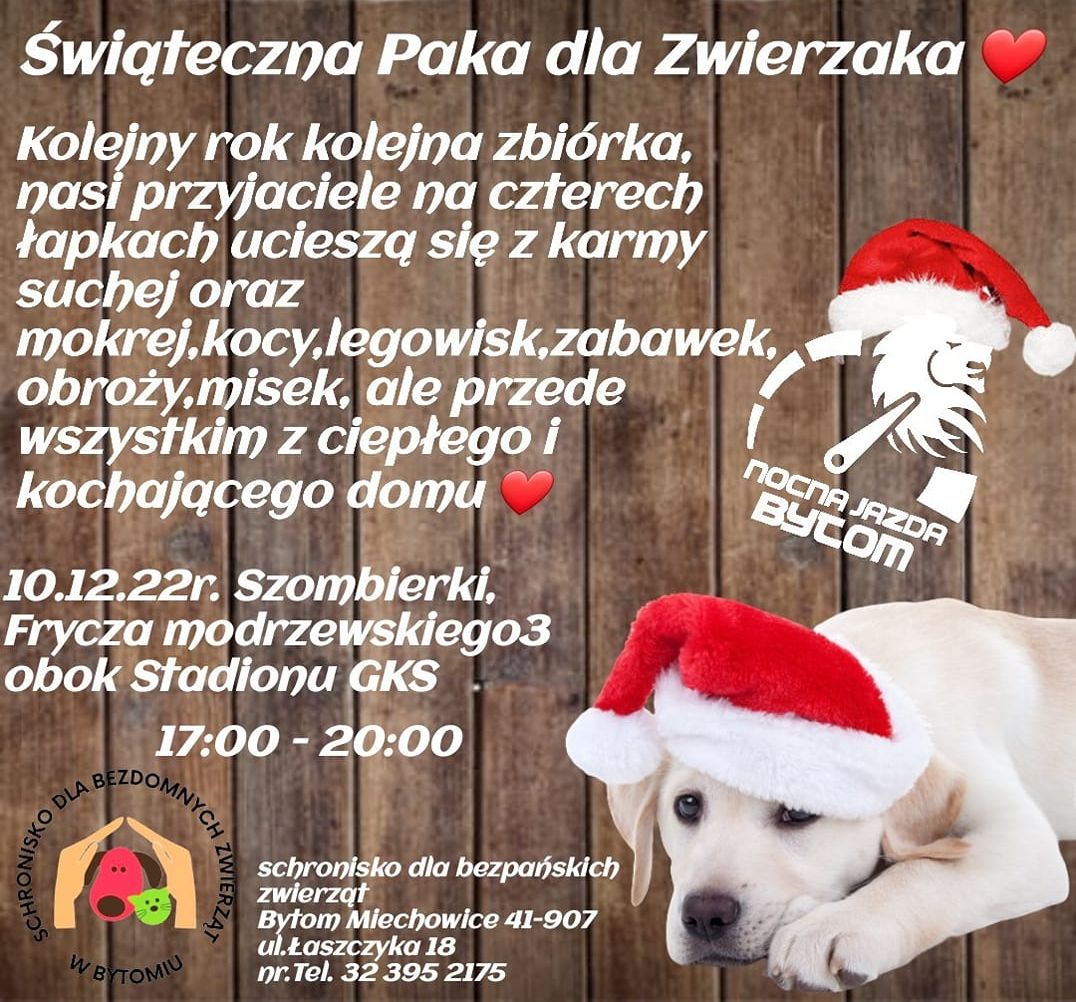 zbirka dla schroniska