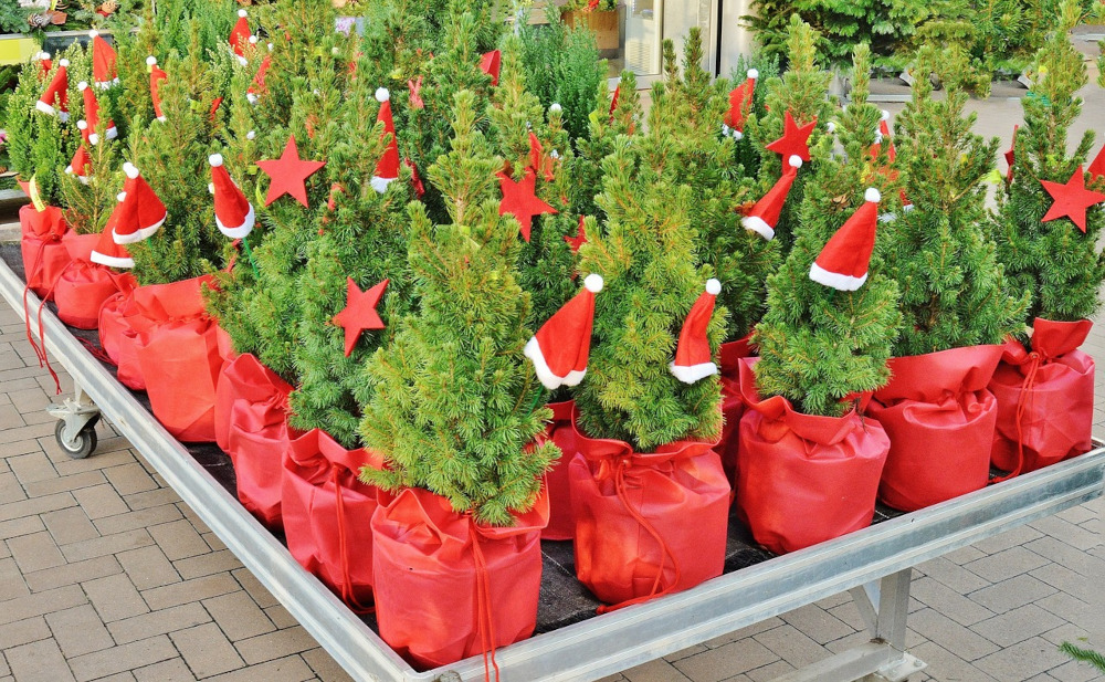 Już 18 grudnia „Choinki pod choinkę” RMF FM zawitają do Bytomia