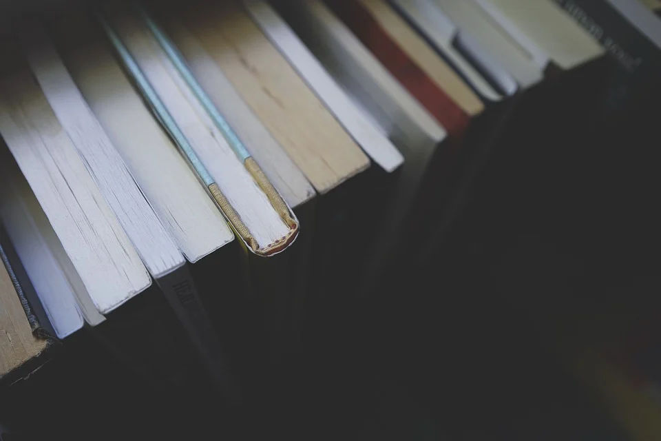Styczeń w Miejskiej Bibliotece Publicznej. Poznaj program!