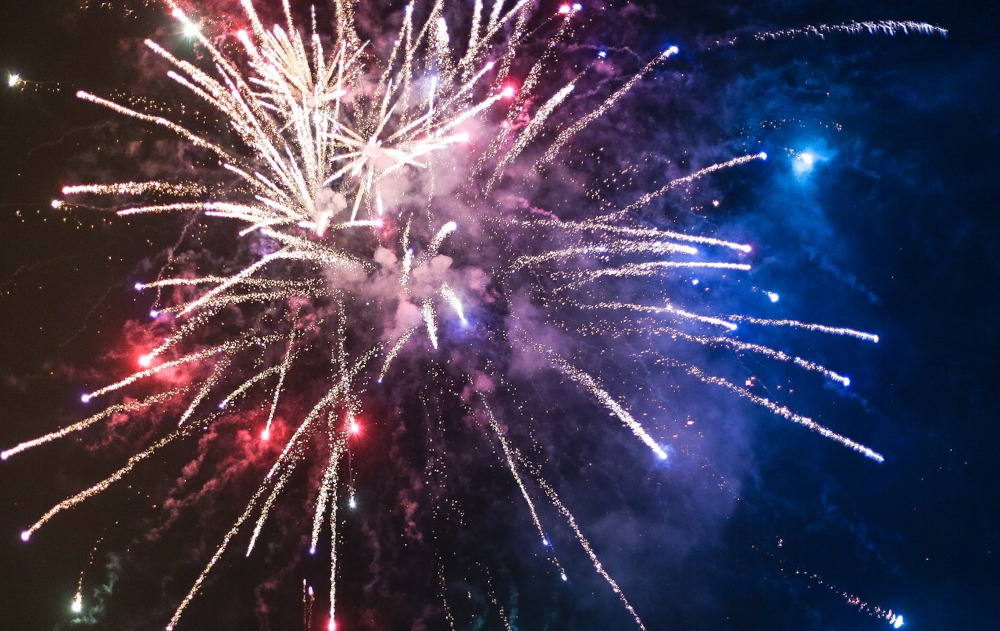 Sylwester? Nie strzelać! Rusza kolejna edycja akcji w trosce o mieszkańców i zwierzęta