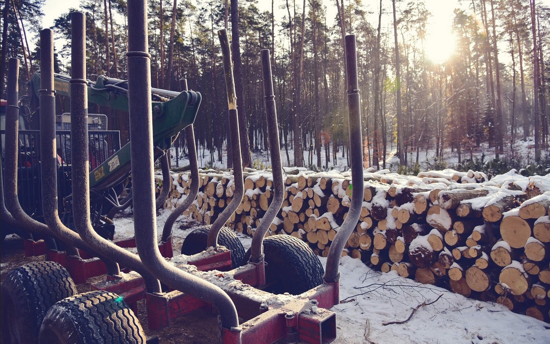 Czas na las – konsultacje Planów Urządzania Lasów Nadleśnictwa Kobiór