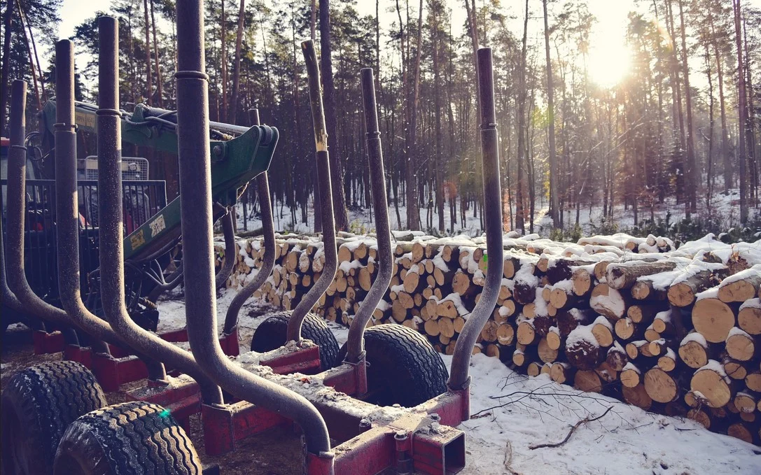 Czas na las – konsultacje Planów Urządzania Lasów Nadleśnictwa Kobiór