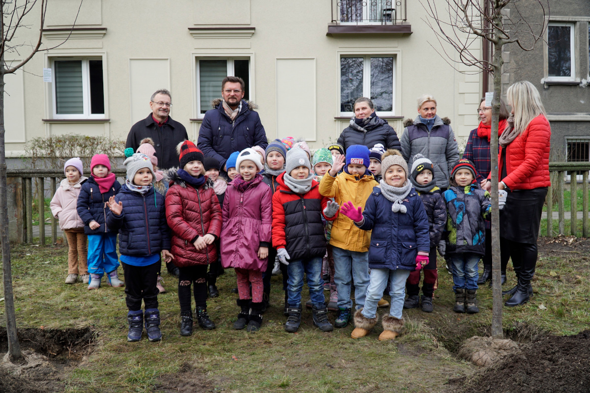 Kolejne drzewa z aplikacji wCOP-ane