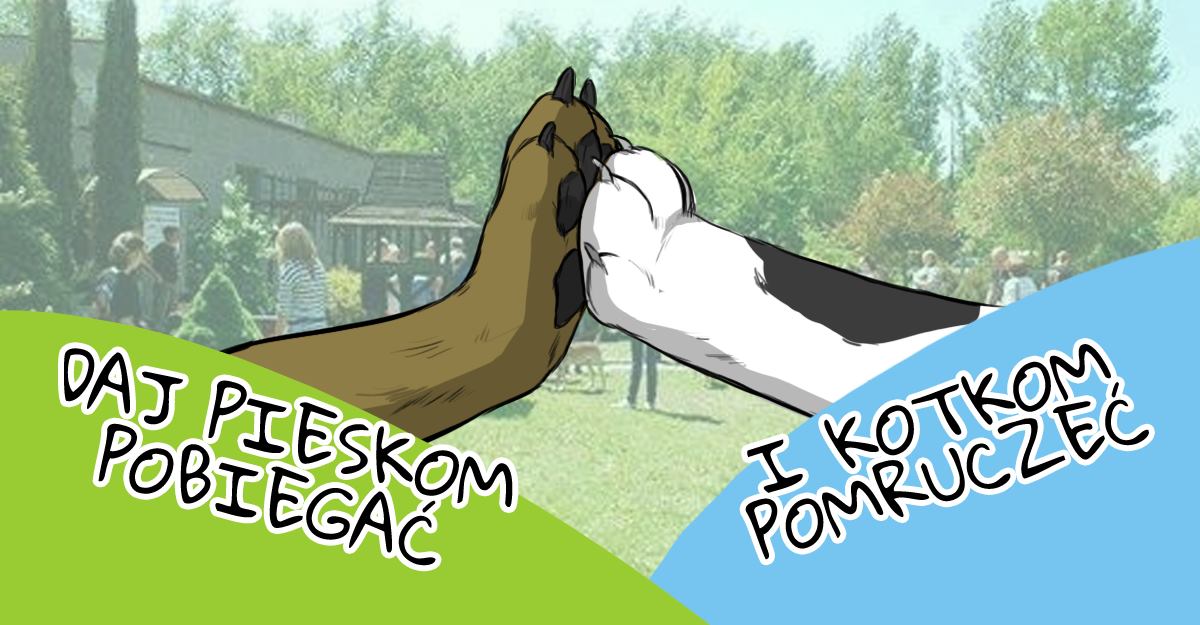 Kolejna akcja w katowickim schronisku. Spędź czas ze zwierzakami lub wesprzyj zbiórkę