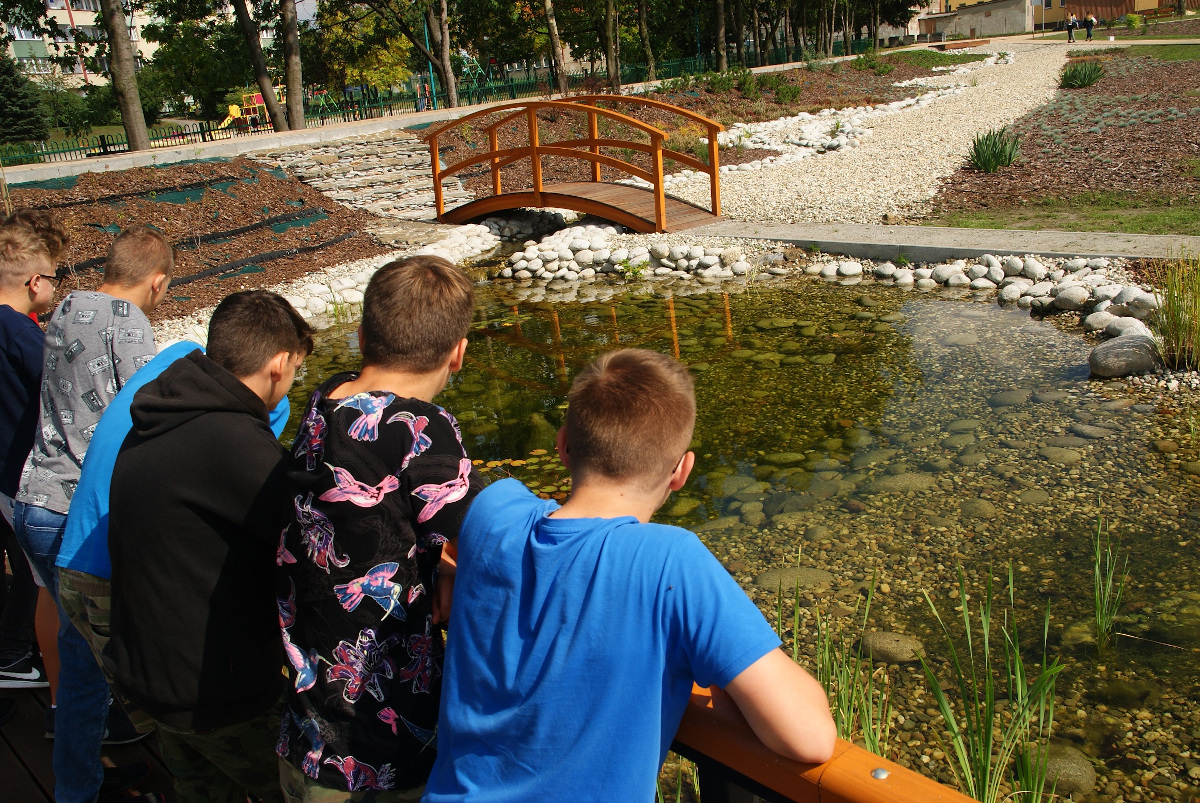 Edukacja klimatyczna w katowickich szkołach
