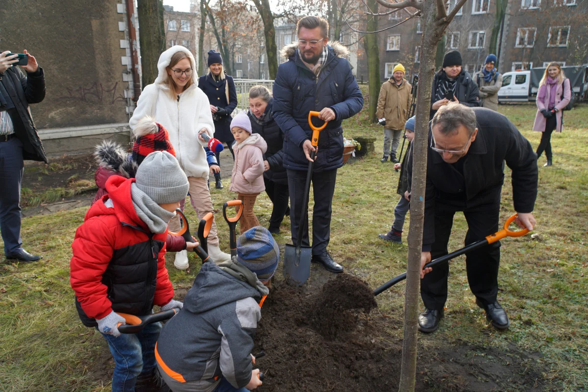 Katowice podsumowują nasadzenia drzew w 2022 r.