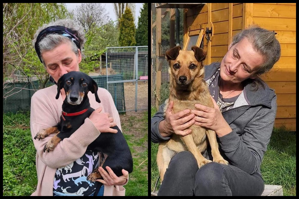 Piękny gest w stronę Fundacji S.O.S dla Zwierząt. Zebrano ponad 20 tysięcy złotych