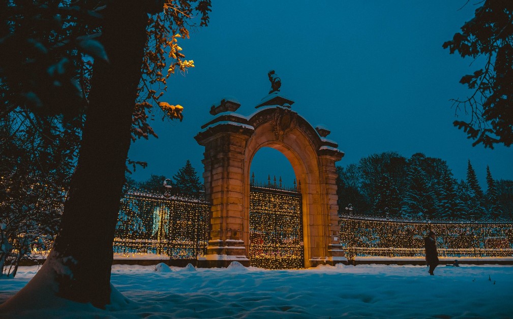 Sylwester w Parku Śląskim. Organizatorzy przekonani, że zwierzęta w zoo nie ucierpią