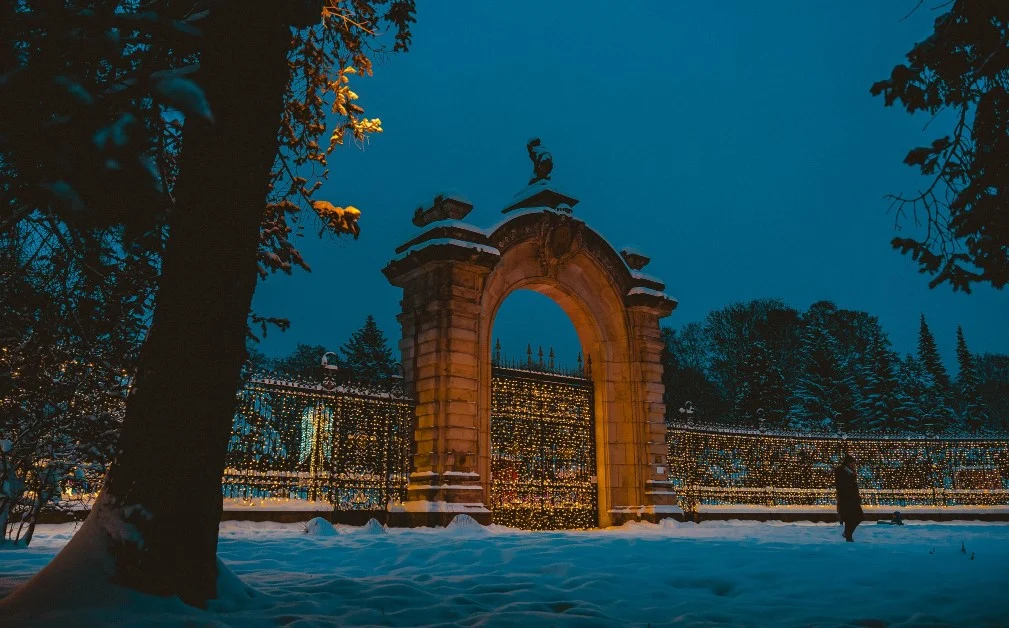 Sylwester w Parku Śląskim. Organizatorzy przekonani, że zwierzęta w zoo nie ucierpią