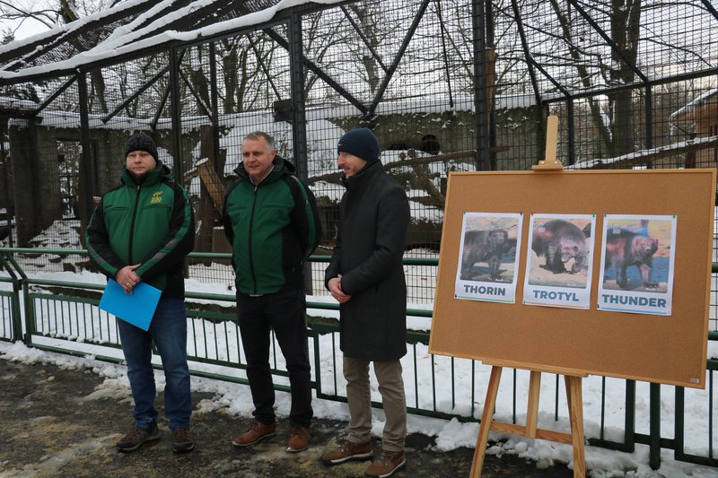 Znamy imiona pierwszych rosomaków urodzonych w polskim ZOO!