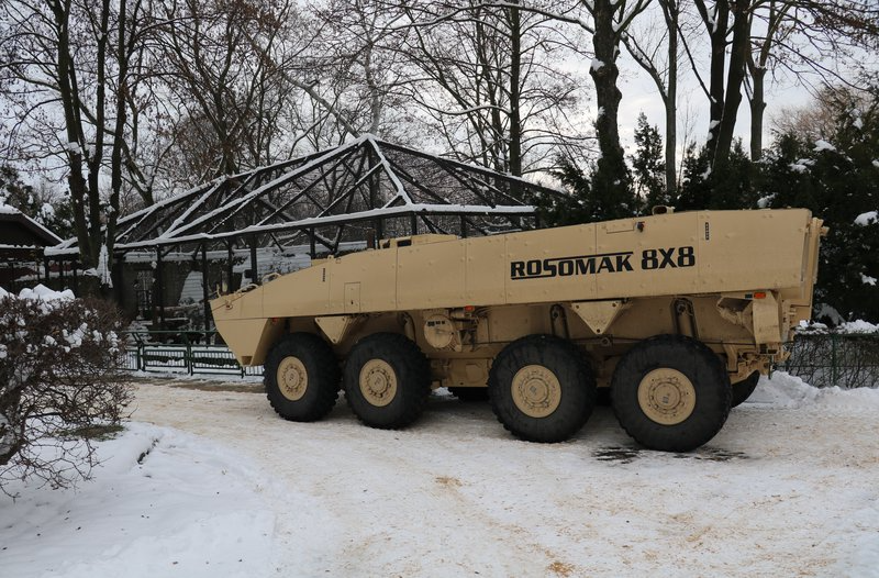 Znamy imiona pierwszych rosomaków urodzonych w polskim ZOO!