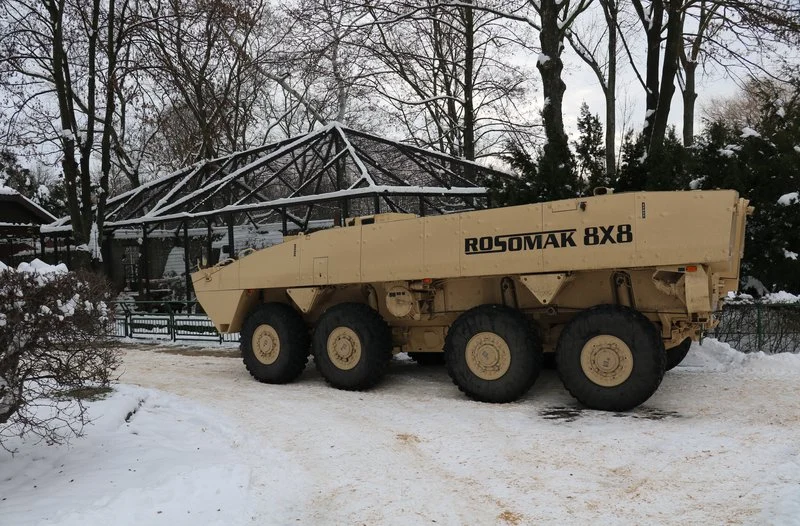 Znamy imiona pierwszych rosomaków urodzonych w polskim ZOO!