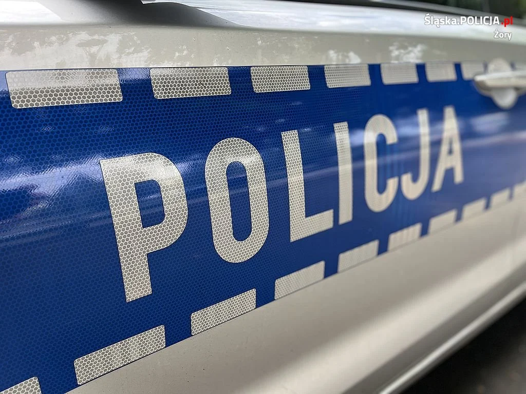 Poszukiwany listem gończym w rękach kryminalnych