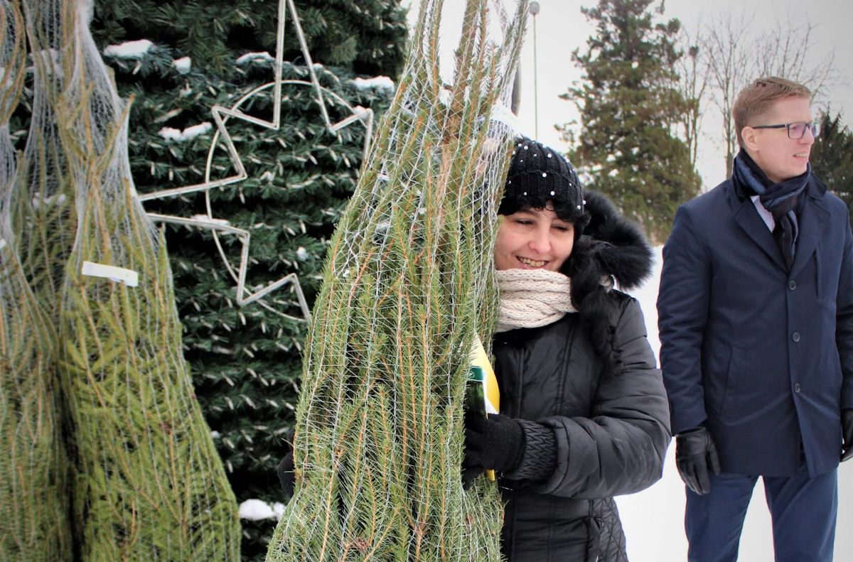 Choinki od Senator RP Doroty Tobiszowskiej trafiły do świętochłowickich domów