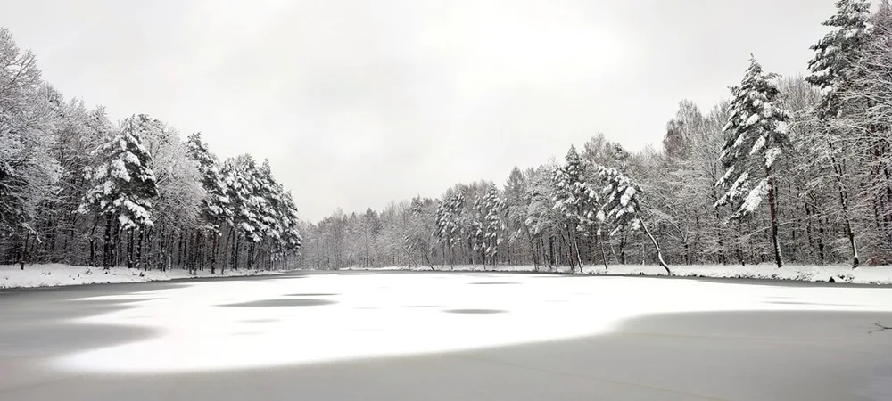 Zobaczcie, jak prezentuje się Ruda Śląska, przyozdobiona białym płaszczem [FOTO]