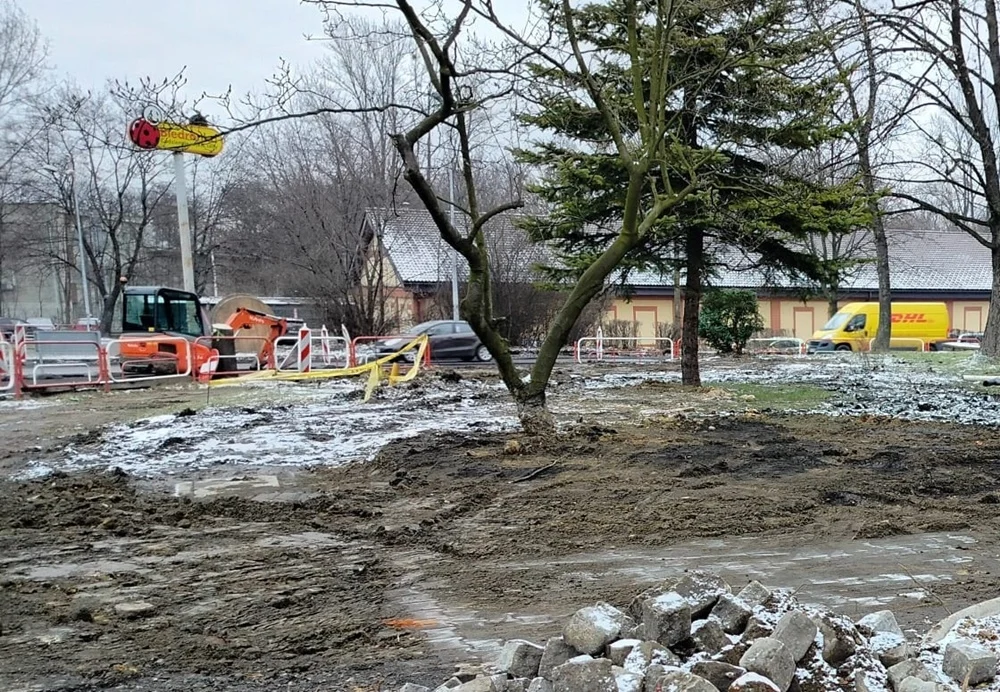 Ruda: Mieszkańcy zgłaszają zniszczenie zieleni na placu Żwirki i Wigury. Magistrat reaguje