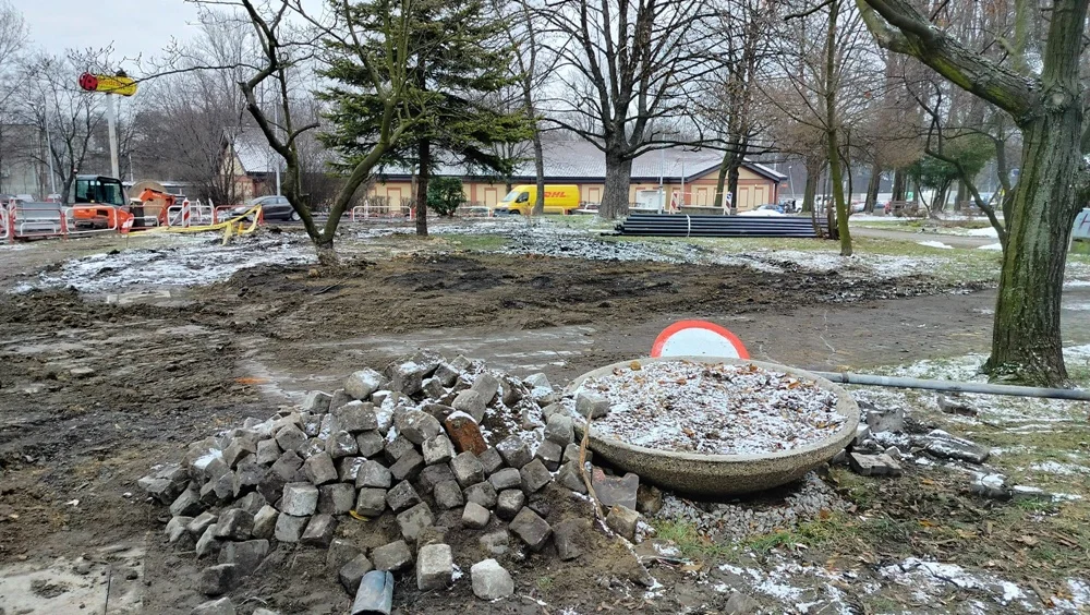 Ruda: Mieszkańcy zgłaszają zniszczenie zieleni na placu Żwirki i Wigury. Magistrat reaguje