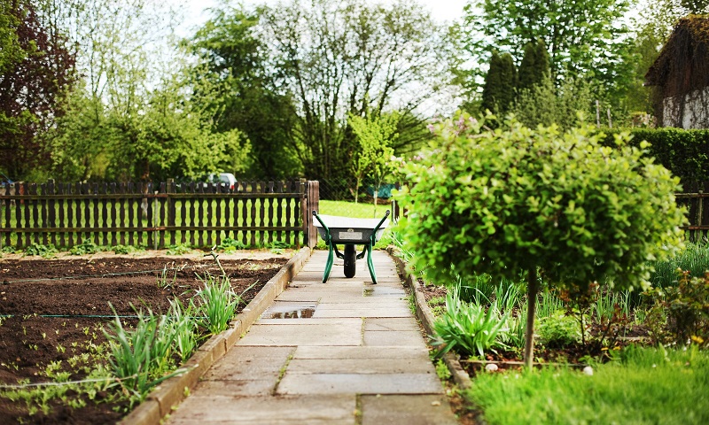 Szansa na wsparcie dla działkowców. Nabór wniosków rusza 1 lutego