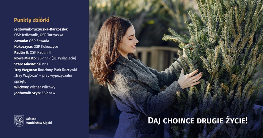 Ruszyła akcja "Daj drugie życie choince po świętach"