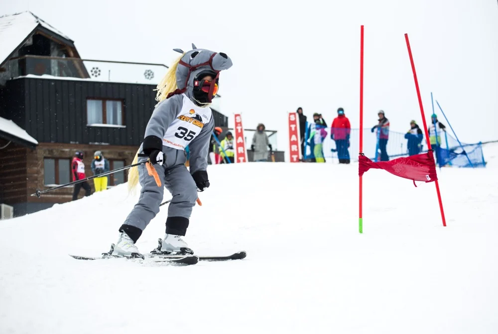 V Rybnickie Zawody w Narciarstwie Alpejskim i Snowboardzie