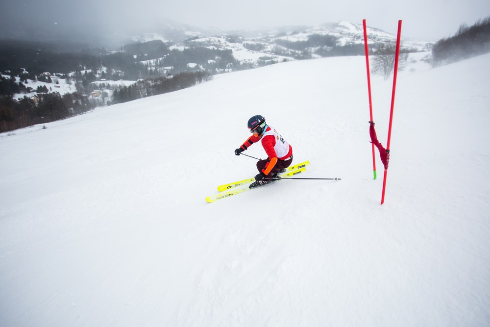 V Rybnickie Zawody w Narciarstwie Alpejskim i Snowboardzie