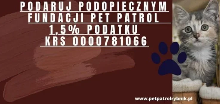Pet Patrol w Rybniku w potrzebie. Wesprzyjmy grupę ratującą zwierzęta!