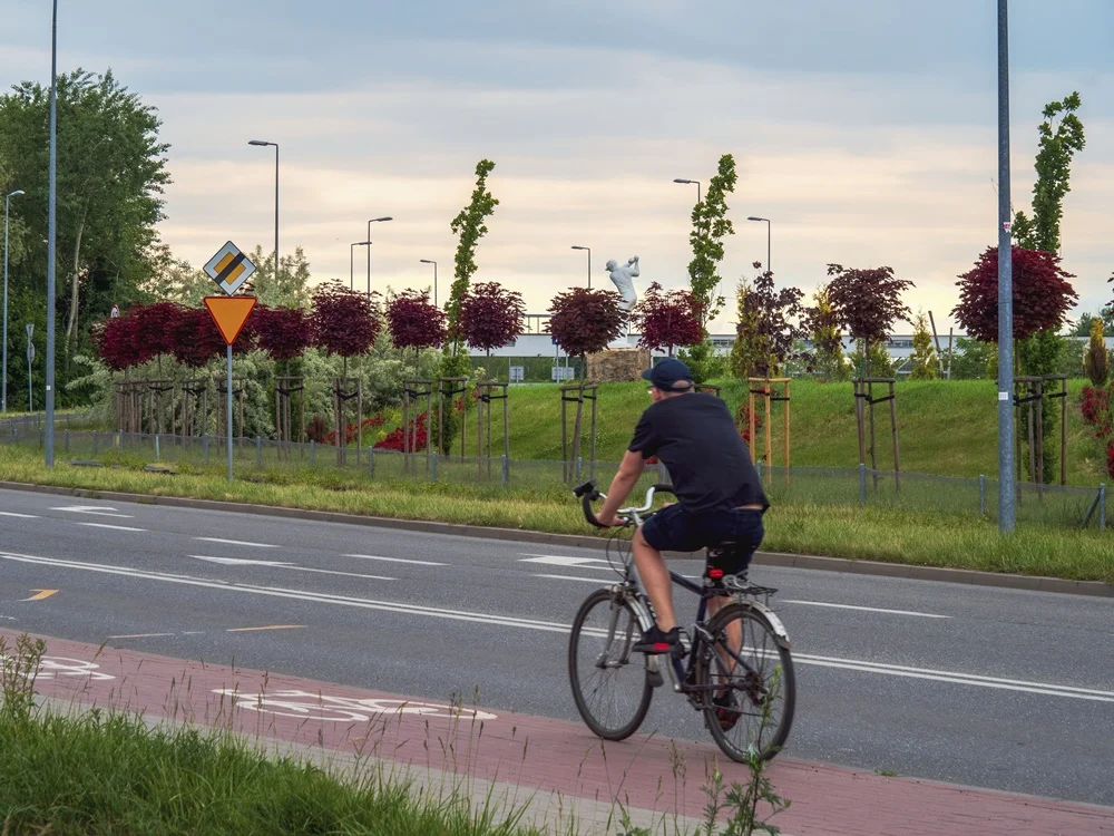 Rekordowo wysoka cena za rower miejski
