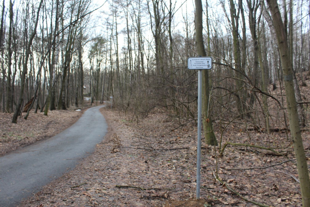 suchogórski labirynt skalny_ 11