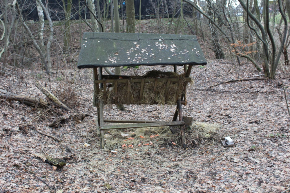 suchogórski labirynt skalny_ 18