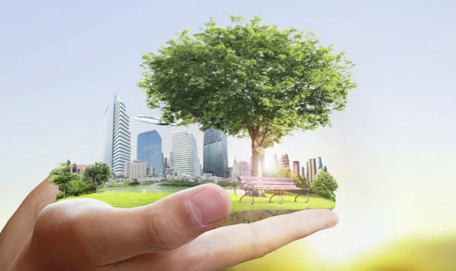 Ogródki działkowe ponownie z finansowym wsparciem