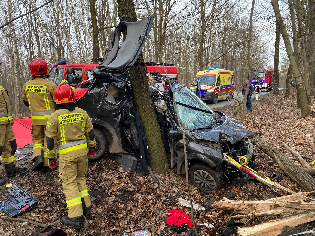 Groźny wypadek na ul. Mysłowickiej. Samochód uderzył w drzewo! [ZDJĘCIA]