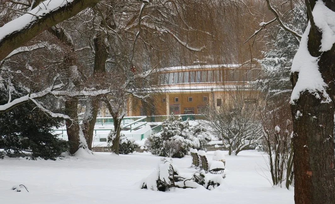 Chorzowskie ZOO podsumowało 2022 rok. Padło kilka rekordów, m.in. w liczbie gości