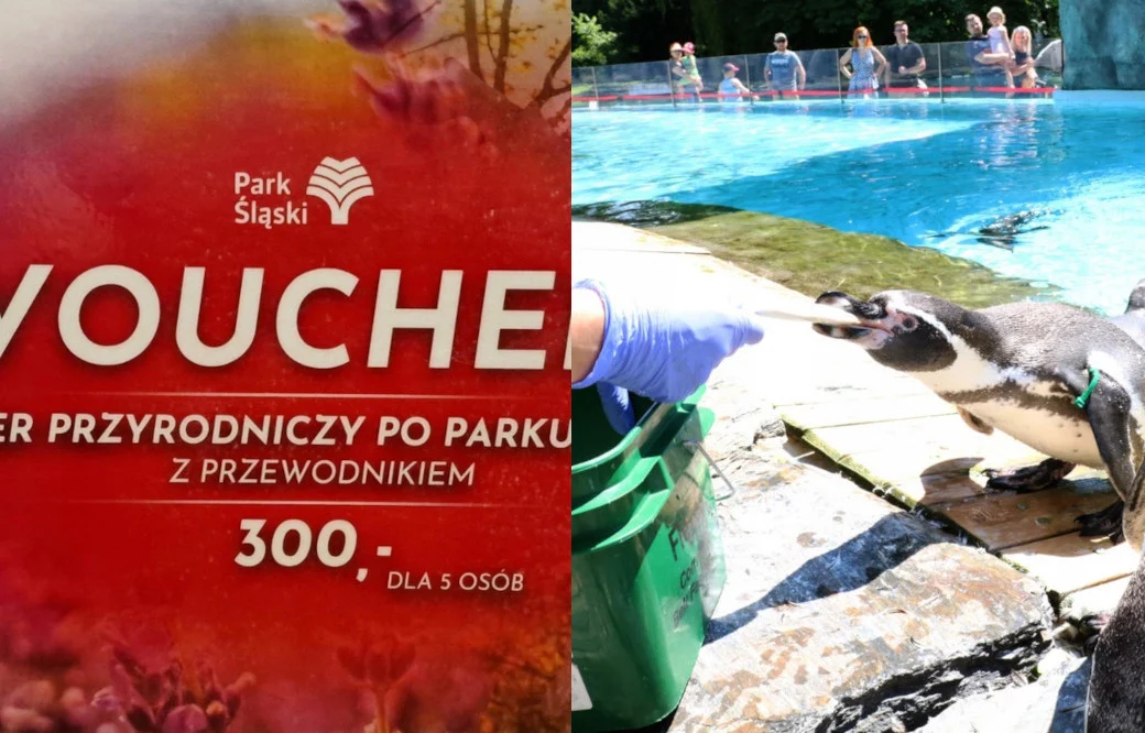 Śląskie Zoo i Park Śląski dla WOŚP. Można wziąć udział w specjalnych licytacjach