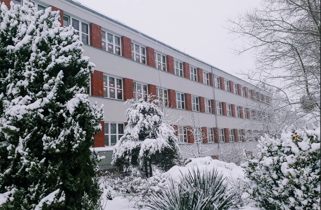 Ranking Perspektywy 2023: Jak wypadły licea i technika w Żorach?