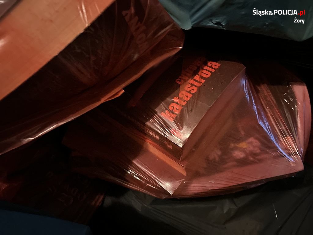 Zamiast wypożyczyć... kradła książki z biblioteki