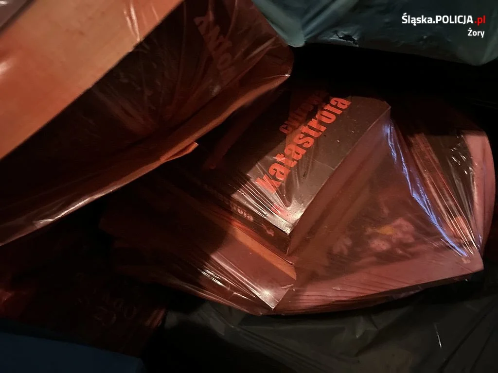 Zamiast wypożyczyć... kradła książki z biblioteki