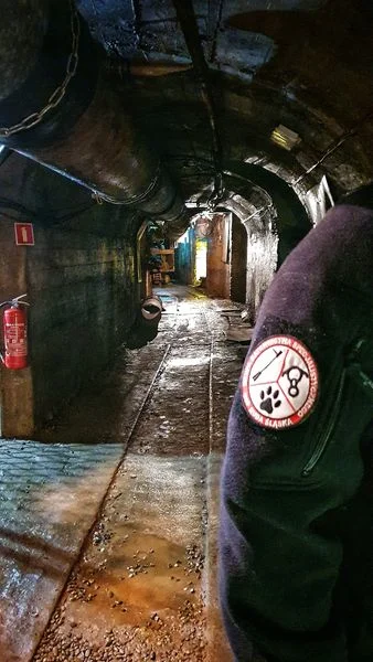 Ochotnicy z GRS OSP trenowali na terenie Kopalni Ćwiczebnej "Sztygarka" / fot. GRS OSP Ruda Śląska 5