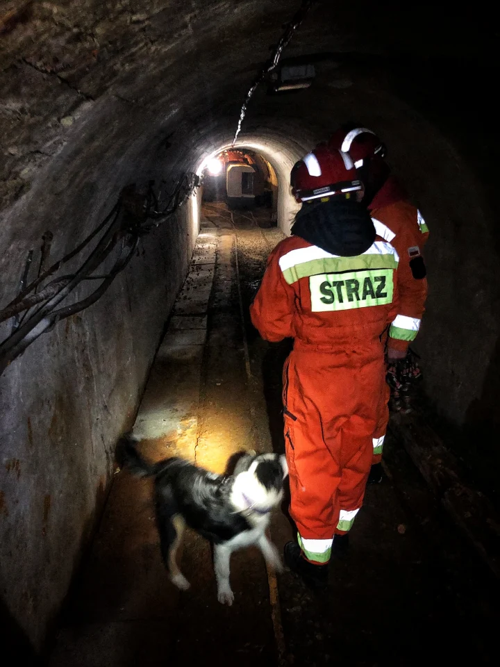 Ochotnicy z GRS OSP trenowali na terenie Kopalni Ćwiczebnej "Sztygarka" / fot. GRS OSP Ruda Śląska 6