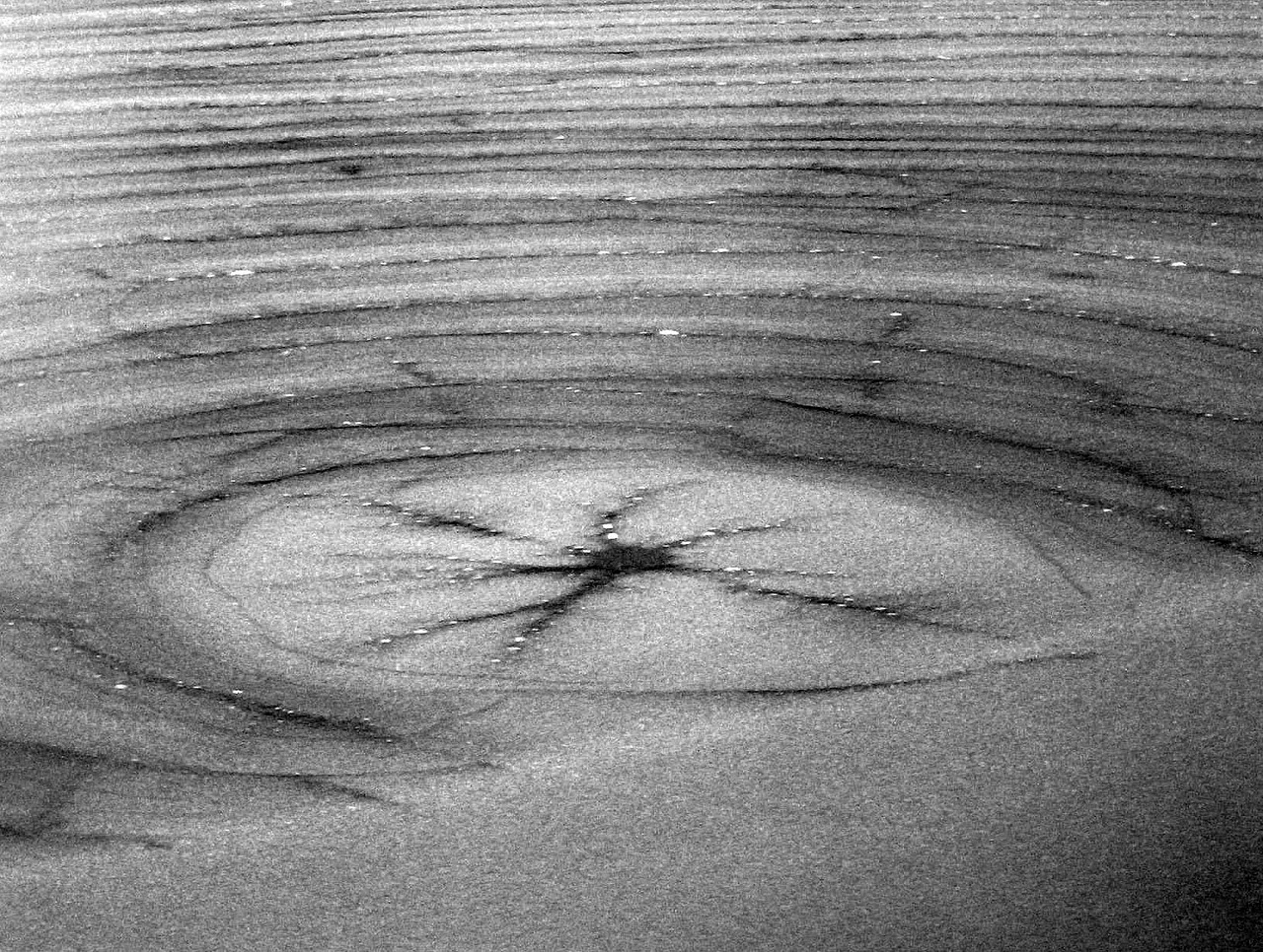 Podczas próby wyciągnięcia psa z zamarzniętego stawu pod kobietą załamał się lód