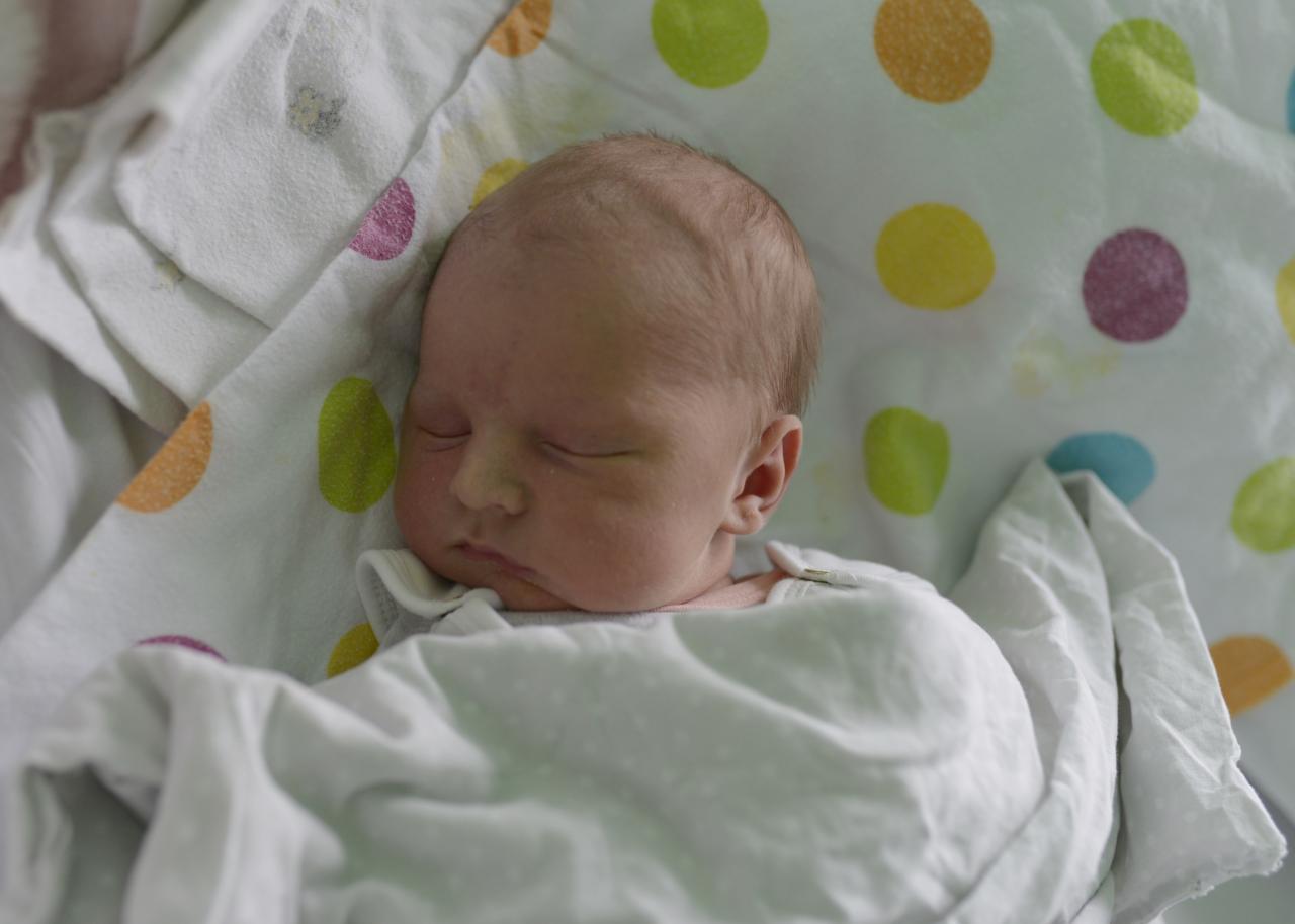 Najmłodsi mieszkańcy - luty 2023