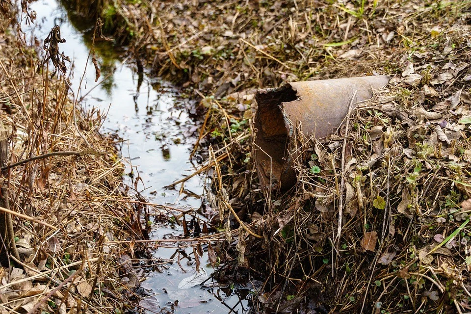 Ewidencja sposobu odprowadzania nieczystości ciekłych