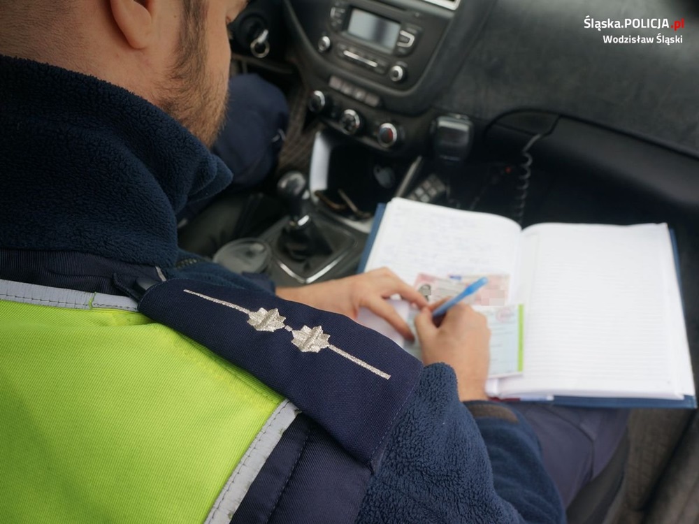 Pies przyczyną zdarzenia drogowego. Właścicielka została srogo ukarana!