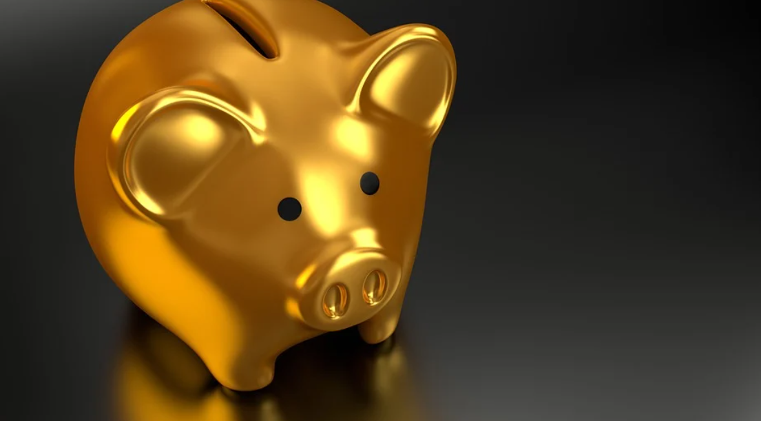 Pracownicze Plany Kapitałowe. Bezpłatne szkolenie dla przedsiębiorców