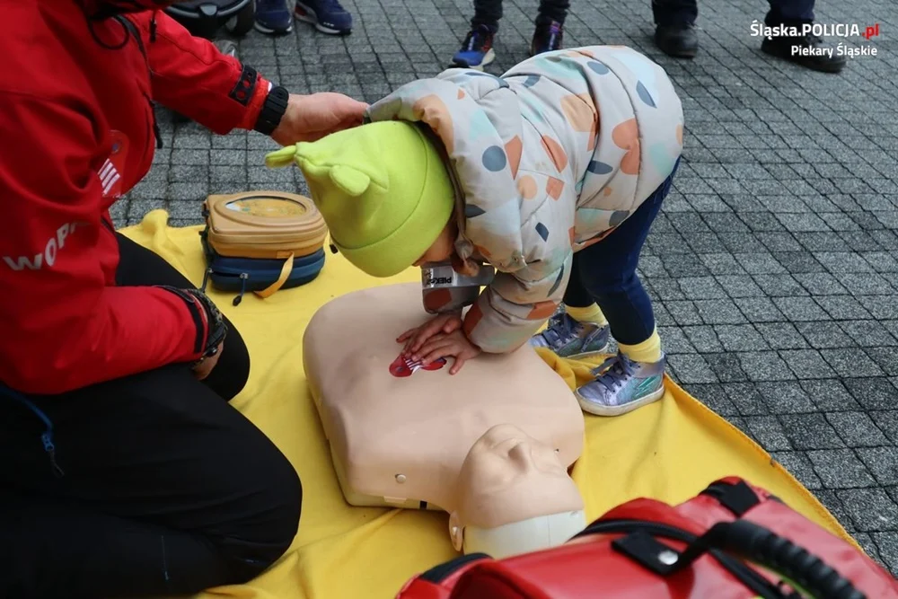 Zakochaj się w bezpieczeństwie. Pokazy szkoleniowe przed Urzędem Miasta