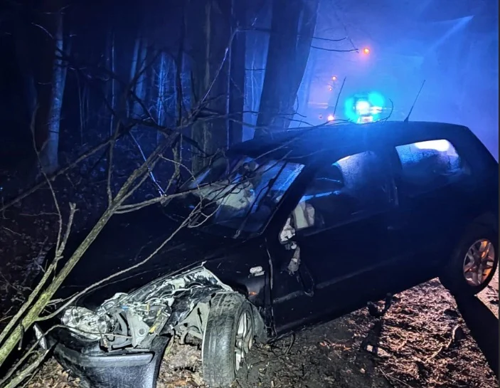 Auto rozbite o drzewo. Kierujący nim mężczyzna bez uprawnień i z narkotykami!