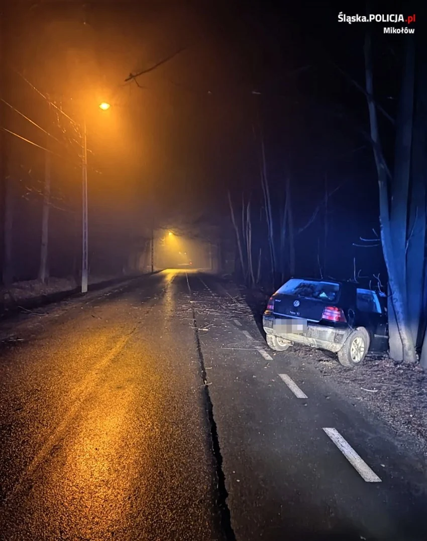 Auto rozbite o drzewo. Kierujący nim mężczyzna bez uprawnień i z narkotykami!