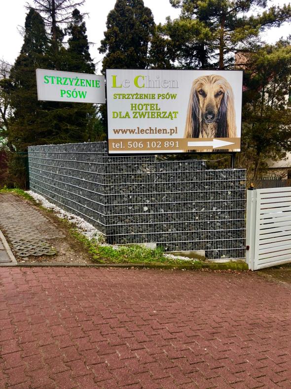 Nowoczesne usługi dla psów – czym są?