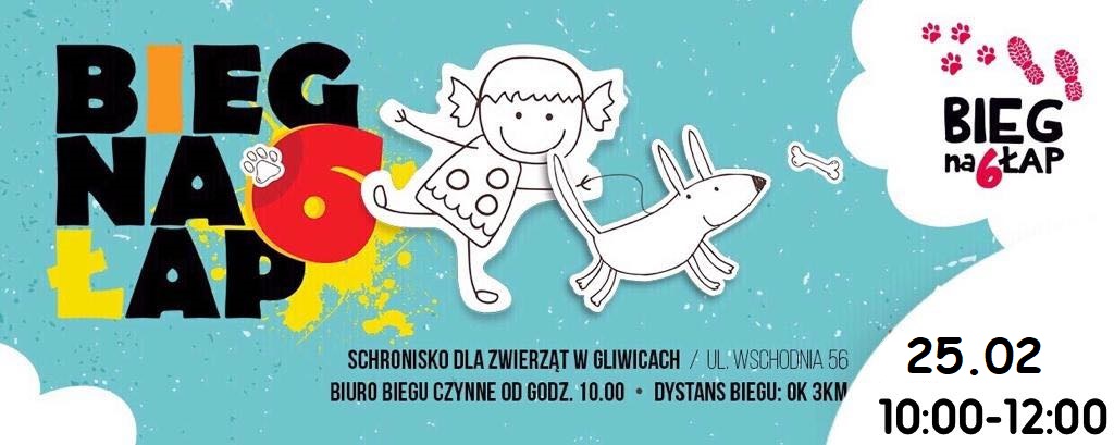 Bieg na 6 Łap w każdą ostatnią sobotę miesiąca. Spaceruj ze swoim pupilem!
