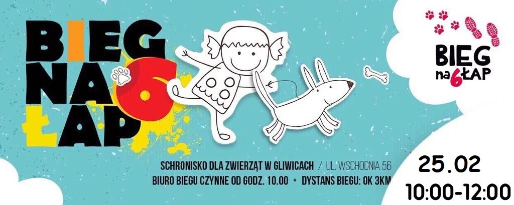 Bieg na 6 Łap w każdą ostatnią sobotę miesiąca. Spaceruj ze swoim pupilem!